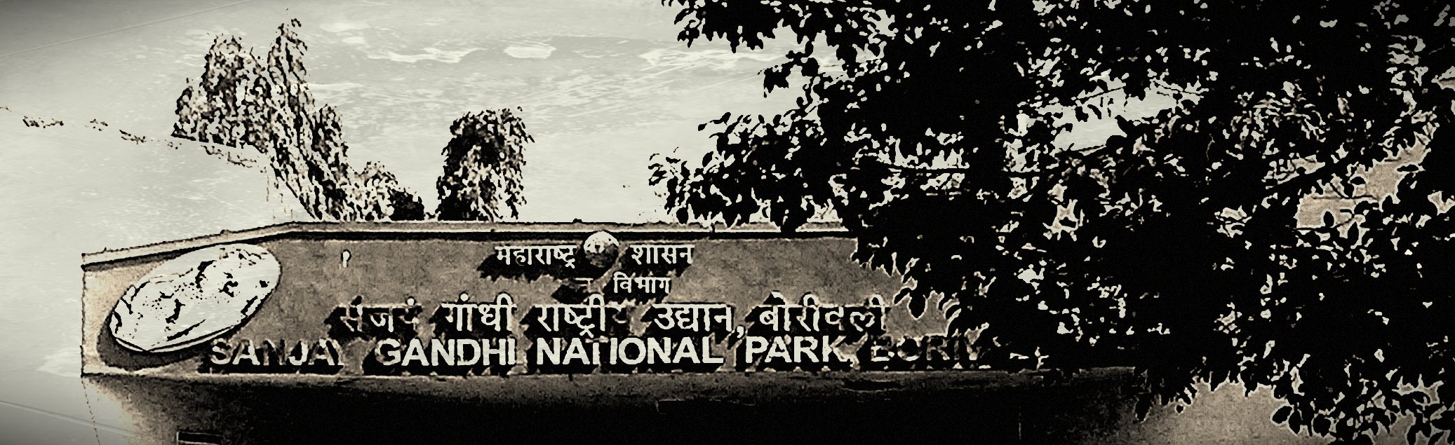‘Sanjay Gandhi National Park’ – Wilderness in the City