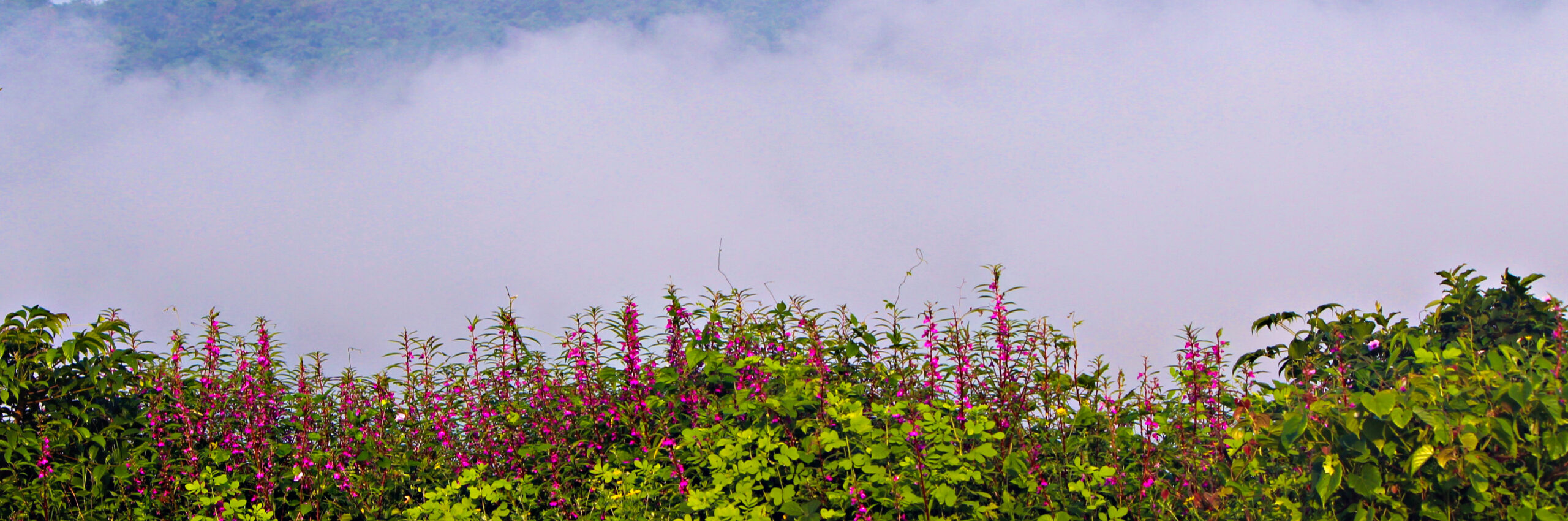 LOHAGAD FORT – A WALK WHICH I WILL ALWAYS REMEMBER