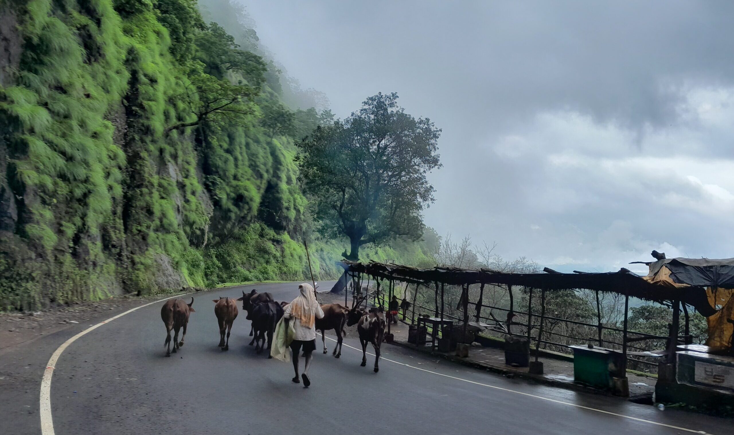 A 5 DAY MONSOON ROAD TRIP FROM MUMBAI TO MAHABALESHWAR, PANCHGANI & KAAS PLATEAU