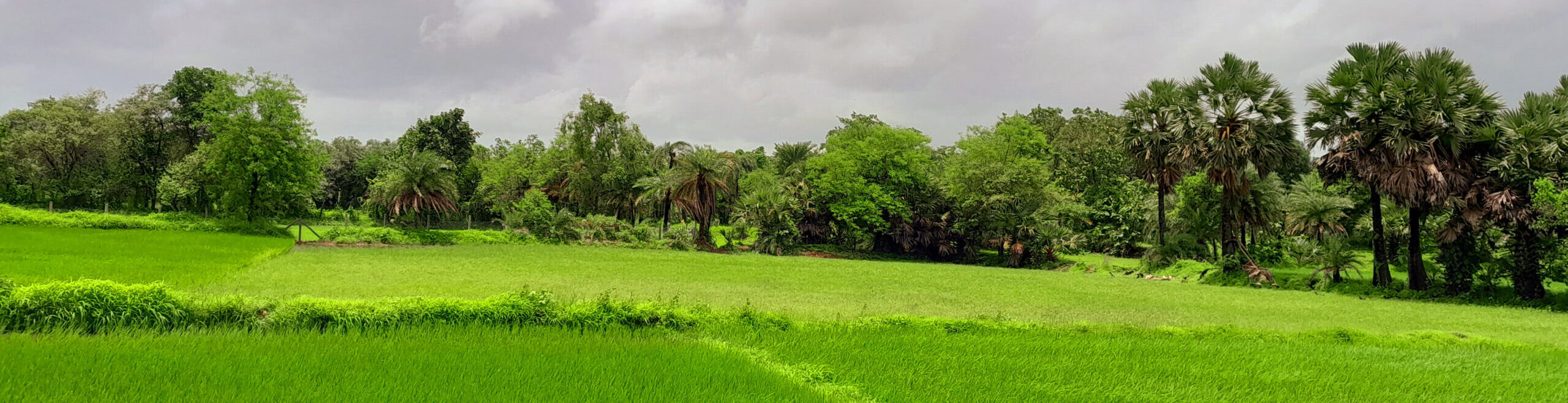 VIKRAMGAD: A QUAINT LITTLE TOWN – A SHORT PHOTO ESSAY