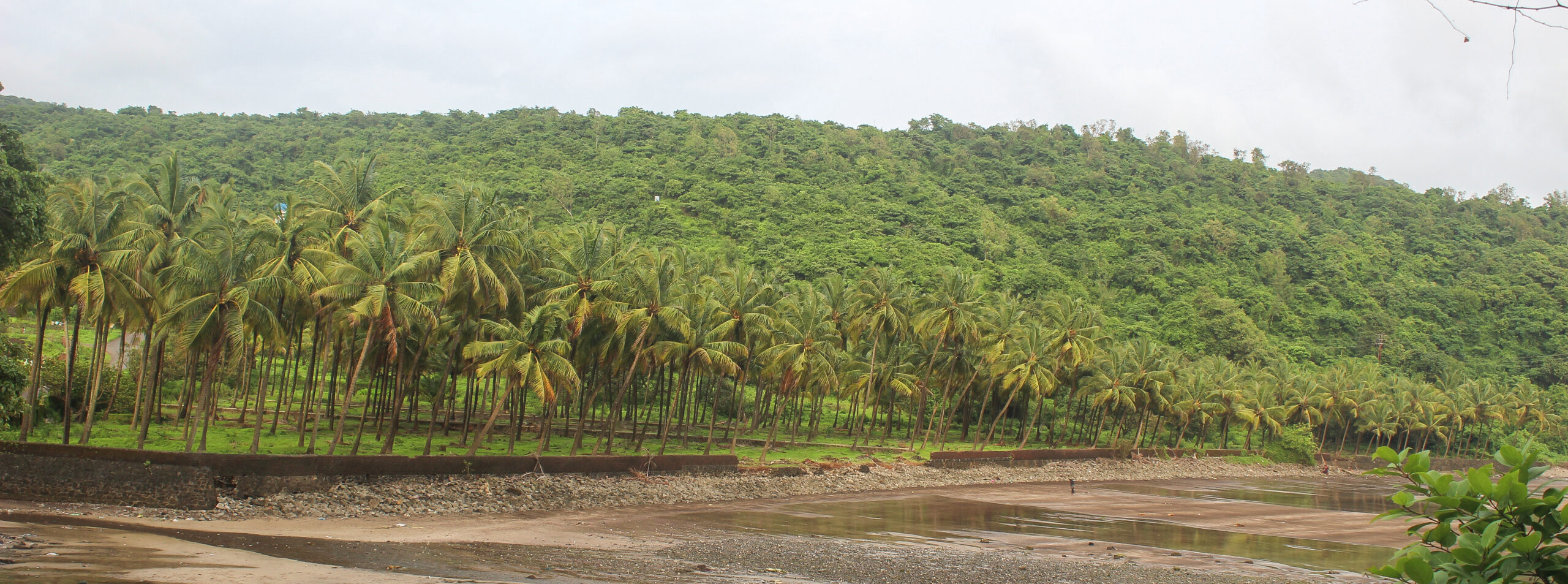 TRAVEL TALES FROM THE INCREDIBLE ROAD TRIP TO THE COASTAL TOWN OF MURUD-JANJIRA