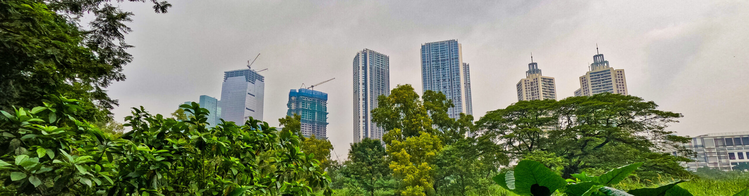 A SHORT NATURE WALK IN THE FOREST OF AAREY COLONY