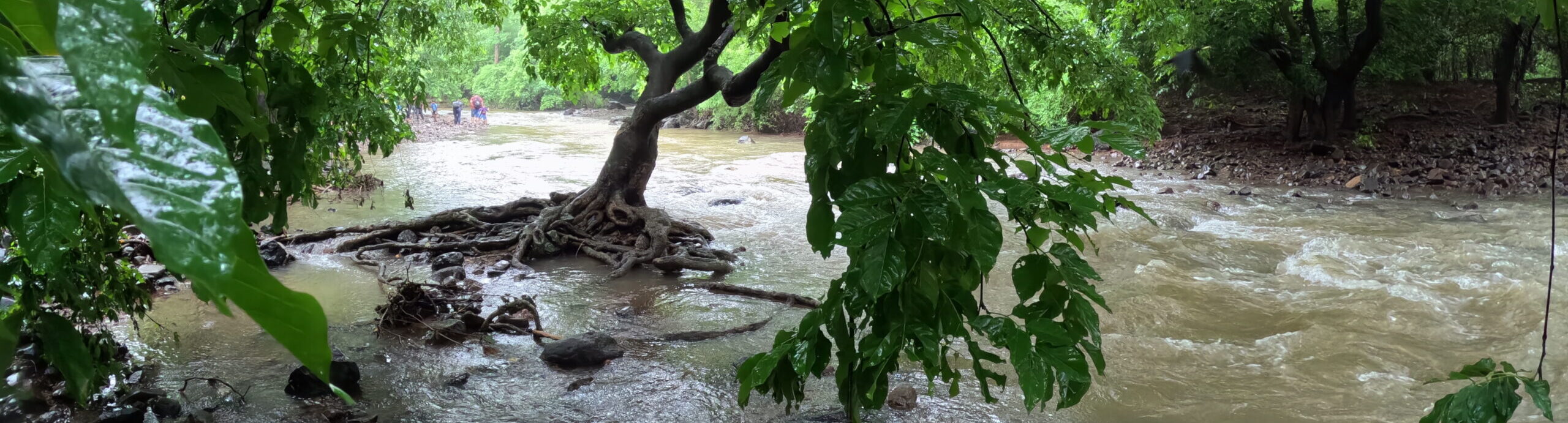 THE MOST POPULAR TRAIL IN SANJAY GANDHI NATIONAL PARK: SHILONDA